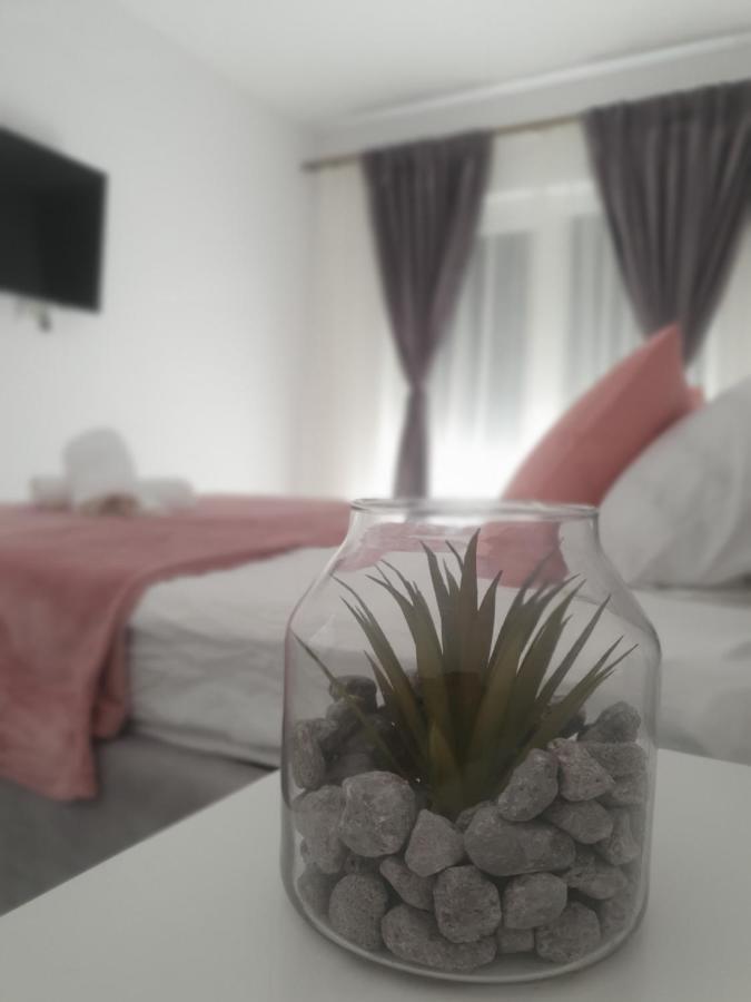 Apartament Ale House Oradea Zewnętrze zdjęcie