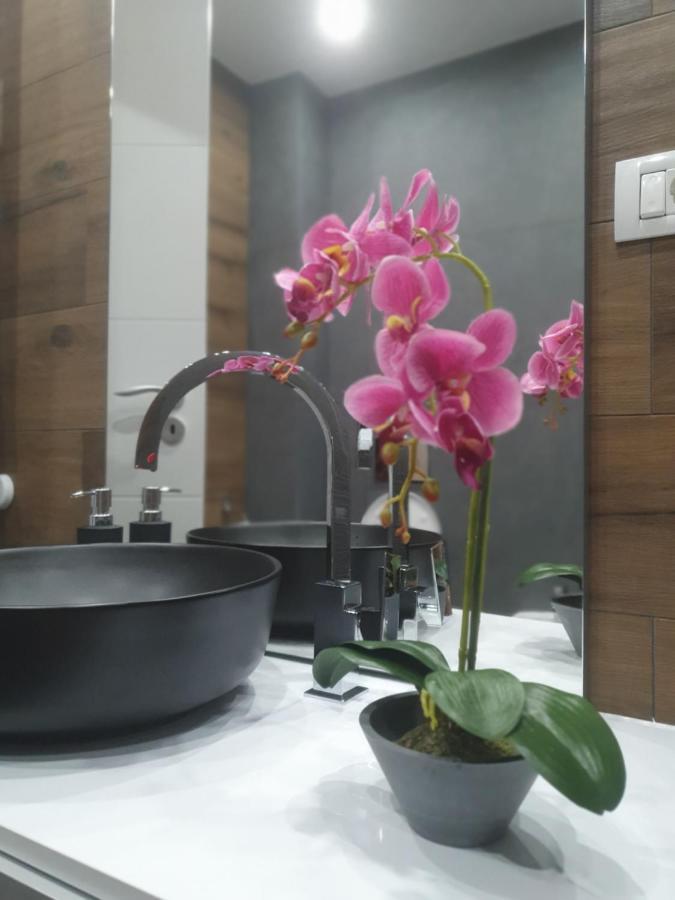 Apartament Ale House Oradea Zewnętrze zdjęcie