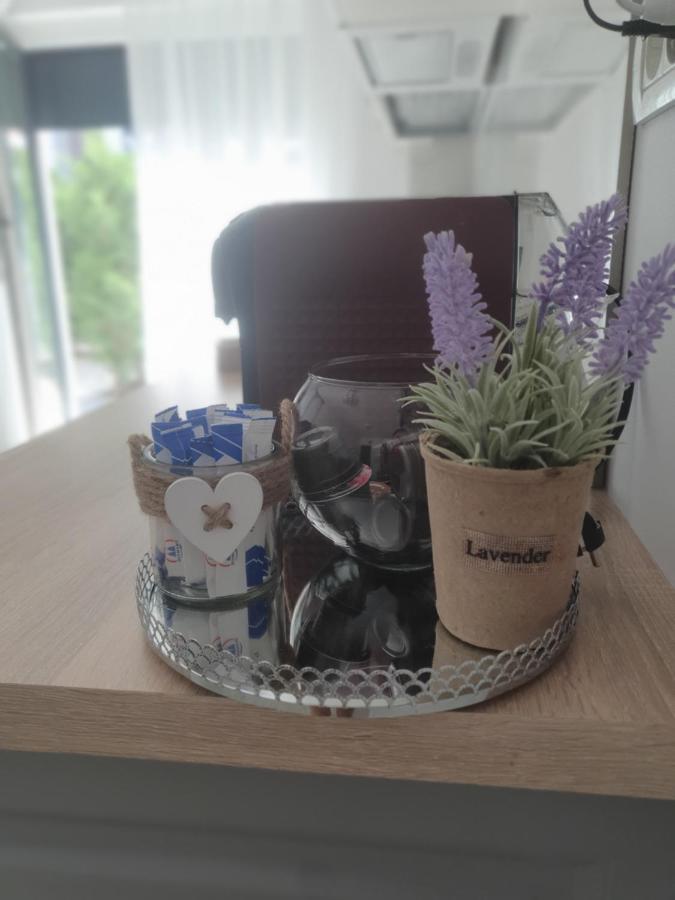 Apartament Ale House Oradea Zewnętrze zdjęcie